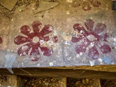 ...e con decori floreali, presenti anche negli altri locali